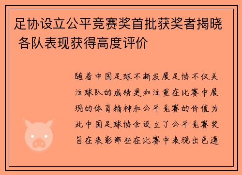 足协设立公平竞赛奖首批获奖者揭晓 各队表现获得高度评价 足协设立公平竞赛奖首批获奖者揭晓 各队表现获得高度评价